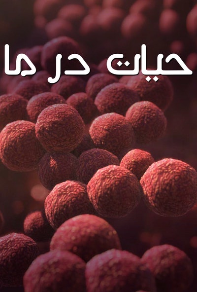 پوستر مستند حیات در ما - قسمت 2 (دوبله)